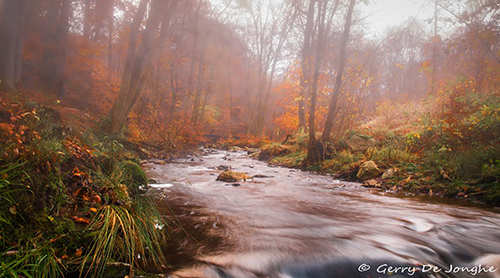 Der Oberlauf der Hoëgne.