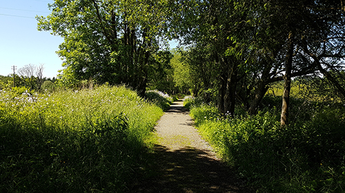 Der RAVeL Hockai-Francorchamps.